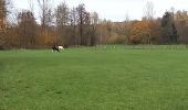 Tour Elektrofahrrad Saint-Clément - sortie vtt 27112022 magnieres  - Photo 1