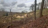 Trail Walking Riemst - montagne St Pierre nord depuis Kanne - Photo 3