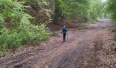 Tocht Stappen Ceyssat - Puy de Dôme descente 19 mai 2019 - Photo 2