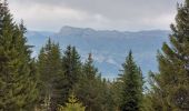 Randonnée Marche Theys - PINCERIE EN BOUCLE DEPUIS PIPAY - Photo 8