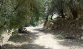 Trail On foot Ventimiglia - Sentiero Balcone Mediterraneo T1 - Photo 1