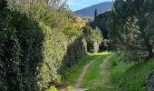 Tocht Stappen Sainte-Maxime - Sainte maxime - le couloubrier - Photo 1