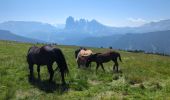 Trail Walking Urtijëi - St. Ulrich in Gröden - Ortisei - Raschötz Alm - Photo 11