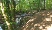 Trail Walking Seraing - Balade du Val à Yvoz en forêt  - Photo 4