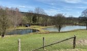 Tocht Stappen Manhay - Malempré Oster Aisne 24,5 km - Photo 5