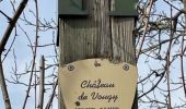 Percorso Marcia Vougy - Vougy : Pouilly-sous-Charlieu et rives de Loire  - Photo 12