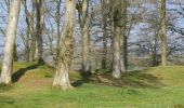 Percorso A piedi Somerset West and Taunton - Herepath Trail - Otterford - Photo 5