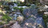 Trail Walking Plan-d'Aups-Sainte-Baume - L'huveaune - Photo 5