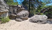 Tocht Stappen Fontainebleau - Fontainebleau sentier Denecourt 7 ouest prolongé  - Photo 9