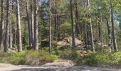 Tour Wandern Wanzel - 2020-05-21 Marche La Vancelle Boucle - Photo 6
