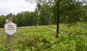 Trail Walking Tenneville - Mochamps - Promenade de Mochamps (07) - Photo 1