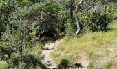 Excursión Senderismo Die - Le Dôme ou Pié Ferré de l'Abbaye Valcroissant - Photo 12