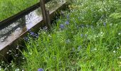 Randonnée Marche Gerpinnes - Vert Clair  - Photo 1