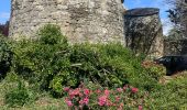 Excursión Ruta Île-d'Arz - Bretagne île d’Arz fin rando Tamalous - Photo 1