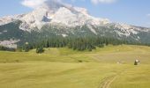 Trail Walking Prags - Braies - Strudelkopf - Monte Specie 2307m - Photo 16