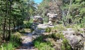 Tocht Stappen Fontainebleau - Fontainebleau sentier Denecourt 7 ouest prolongé  - Photo 6