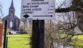 Tocht Stappen Chimay - Promenade de l’eau blanche  - Photo 9