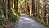 Trail Walking Brunate - Boucle Brunate - Monte Piatto  - Brunate - Photo 7