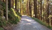 Tour Wandern Brunate - Boucle Brunate - Monte Piatto  - Brunate - Photo 7