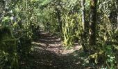 Trail Walking Lentillac-du-Causse - Lantillac du causse - Photo 4