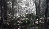 Randonnée Marche nordique Villard-de-Lans - gorges de la Bourne - Photo 10