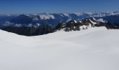 Trail Walking Chamonix-Mont-Blanc - reguge de Trient par le col du tour - Photo 9