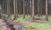 Trail Walking Aywaille - sedoz - vert-buisson (via ninglinspo) - porallée - vieux chera - sedoz - Photo 12