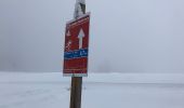 Tour Zu Fuß Gemeinde Unken - Wanderweg 16 - Winklmoosalm - Hemmersuppenalm - Photo 3