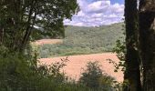 Trail Walking Fauvillers - Tintange 25,3 km - Photo 11