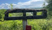 Trail Walking Comblain-au-Pont - Sentier géologique de Comblain au pont - Photo 19