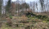 Tour Wandern Somme-Leuze - Sinsin - Photo 4