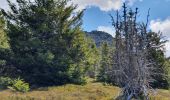 Trail Walking Borée - Le Mont Mezenc - Photo 2