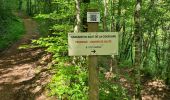 Trail Walking Collonges-la-Rouge - colonge - Photo 17