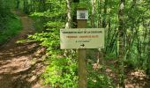 Excursión Senderismo Collonges-la-Rouge - colonge - Photo 17