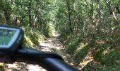 Trail Hybrid bike Montauban - Autour de Saint Nauphary  - Photo 2