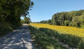 Percorso Marcia Rilly-sur-Vienne - Rilly-sur-Vienne - le Chêne Vert Fon Bon la Roche Chandres - 20.2km 275m 5h45 (1h) - 2025 07 12 - Photo 12