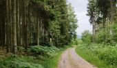 Trail Walking Vielsalm - La nature en questions   - Photo 5