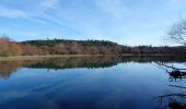 Trail Walking Montauroux - Lac de St Cassien  - Photo 4