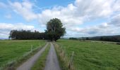 Tocht Stappen Houffalize - rando engreux 14-09-2024 - Photo 2