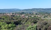 Percorso Marcia Villes-sur-Auzon - entre Auzon et le GR du massif du Ventoux - Photo 3