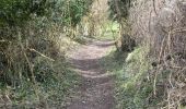 Percorso A piedi Tandridge - Over the Downs to Oxted Mill walk (SCC) - Photo 5