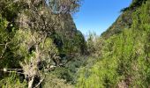 Tocht Stappen São Roque do Faial - Le chaudron vert  - Photo 3