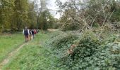 Excursión Marcha nórdica Sauveterre-de-Béarn - BELLOCQ / SAUVETERRE DE BEARN RS - Photo 1