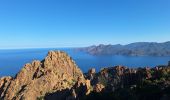 Tour Wandern Piana - tour des châtaigniers de palani - Photo 20