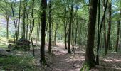 Trail Walking Profondeville - Sept Meuse Profondeville  21,4 km - Photo 4