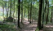 Tour Wandern Profondeville - Sept Meuse Profondeville  21,4 km - Photo 4