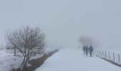 Trail Snowshoes Besse-et-Saint-Anastaise - Lac pavin pealat  - Photo 1