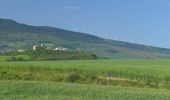 Tocht Stappen Pamplona/Iruña - 2024 Camino Frances Etape 1 - Photo 14