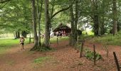 Tocht Stappen Rougemont-le-Château - BAERENKOPF - Photo 3