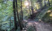 Tour Wandern Sauviat - La sauviatoise 09/2021 - Photo 6